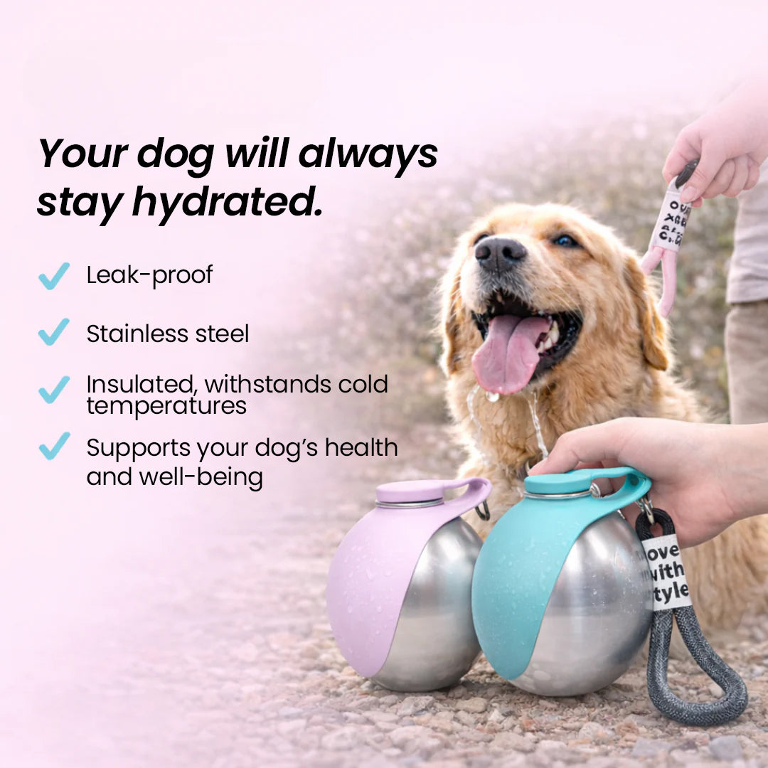 Pawwtopia™ HydroWalk Dog Water Bottle