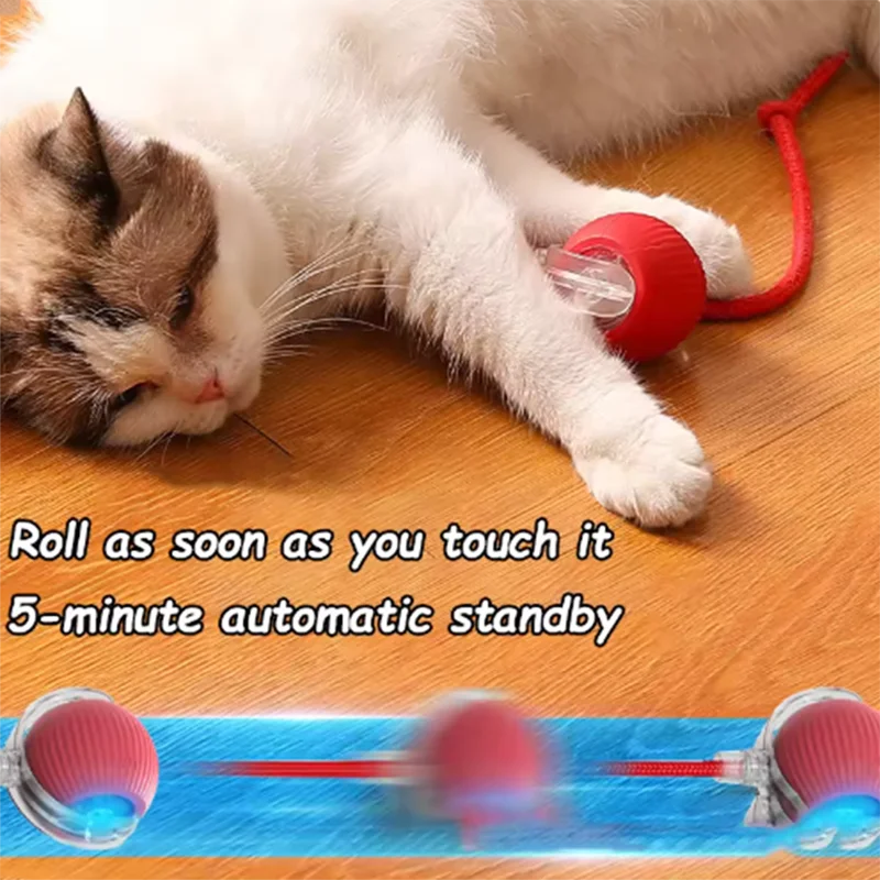 Pawwtopia™ ZoomTail Smart Cat Toy