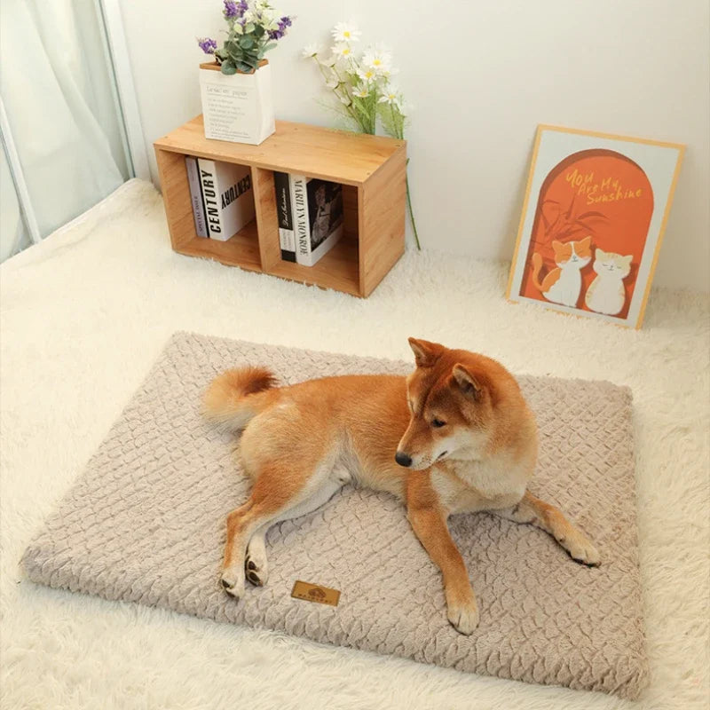 Memory Foam Orthopedic Waterproof Dog Bed