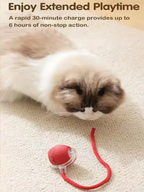 Pawwtopia™ ZoomTail Smart Cat Toy