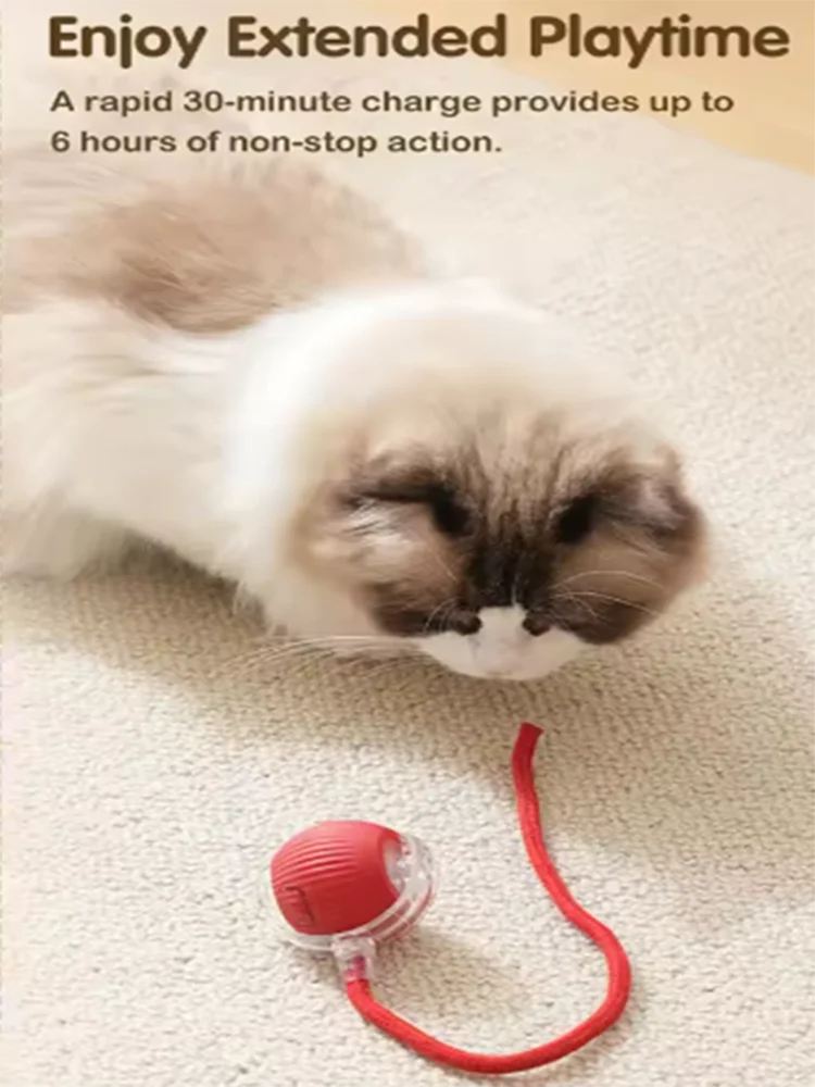 Pawwtopia™ ZoomTail Smart Cat Toy