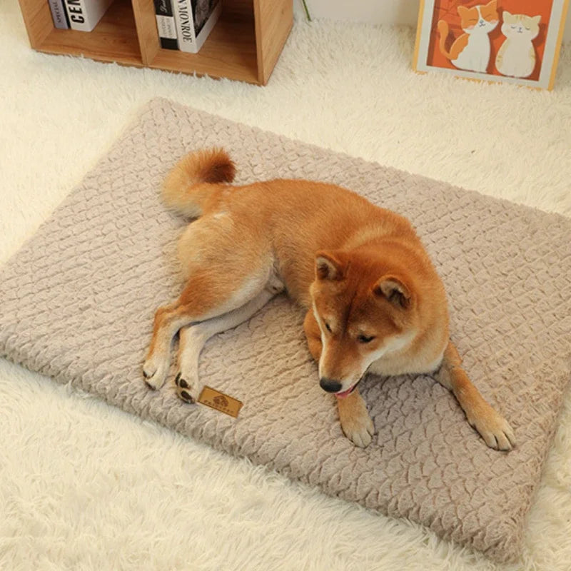 Memory Foam Orthopedic Waterproof Dog Bed