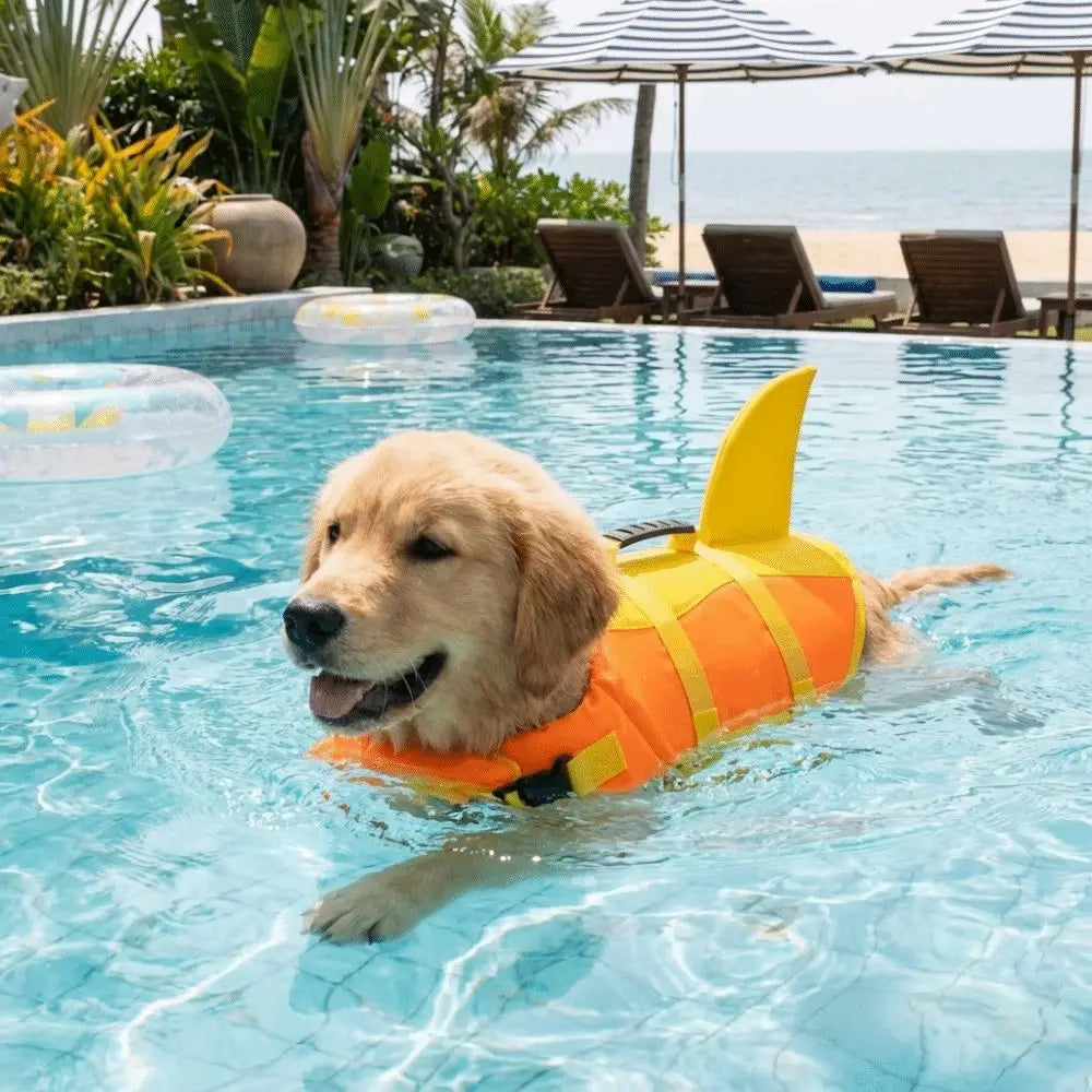 Pawwtopia™ SharkSplash