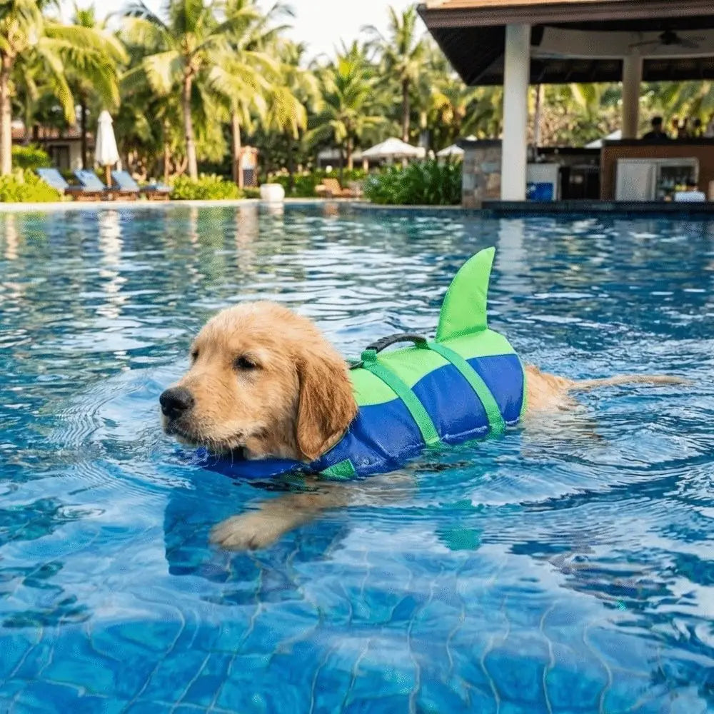 Pawwtopia™ SharkSplash