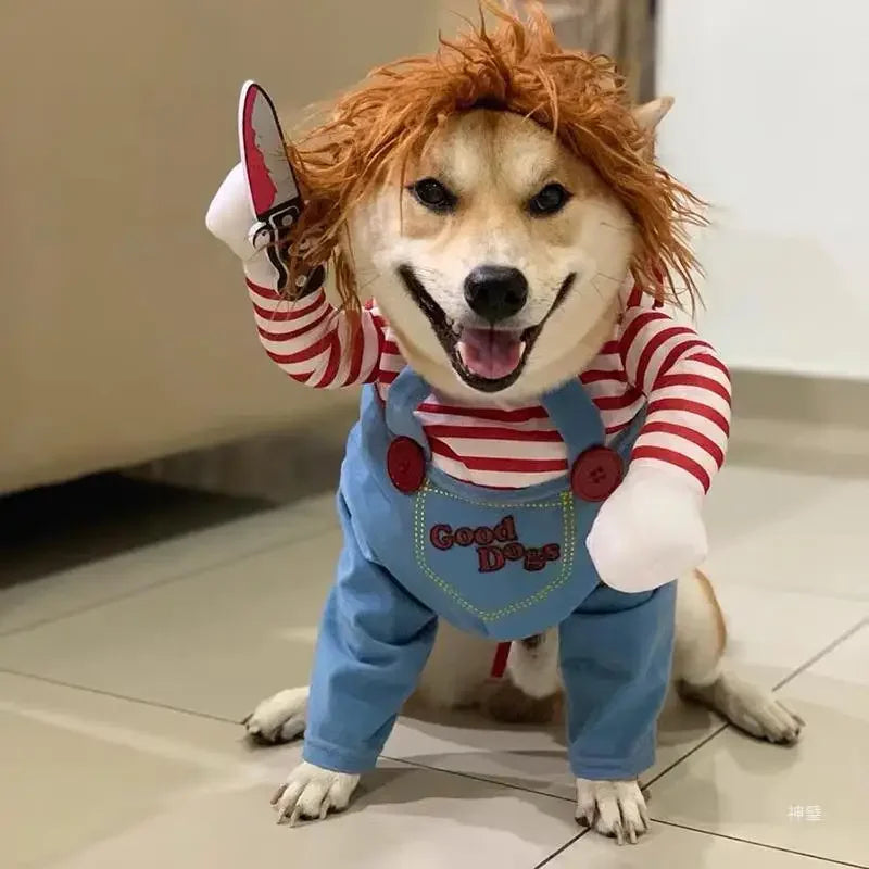 PawwTopia™ Festive Dog Costume