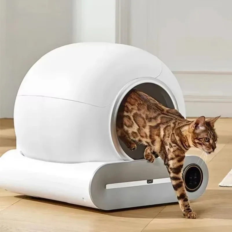 Smart Cat Litter Box