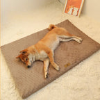 Memory Foam Orthopedic Waterproof Dog Bed