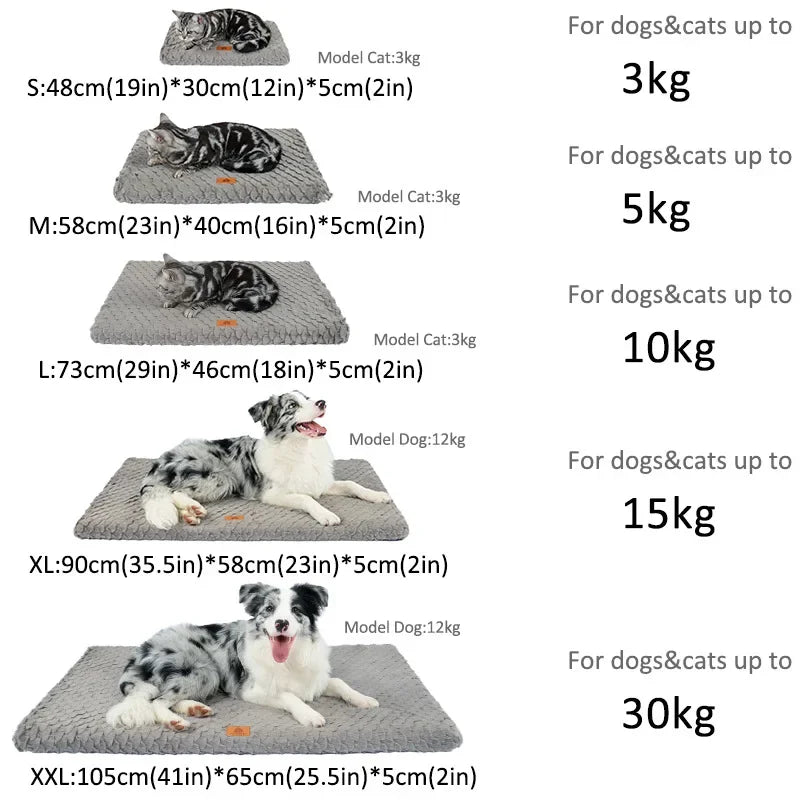 Memory Foam Orthopedic Waterproof Dog Bed