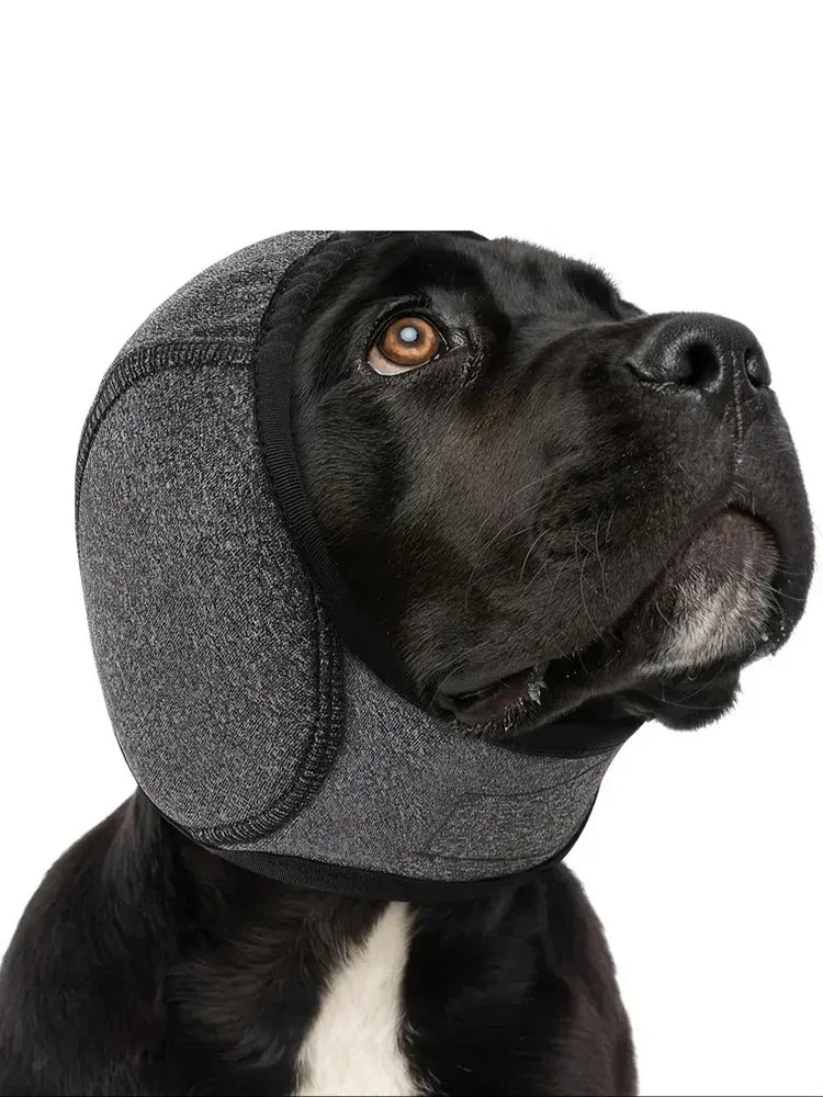 Pawwtopia™ Dog Noise Reduction