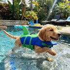 Pawwtopia™ SharkSplash