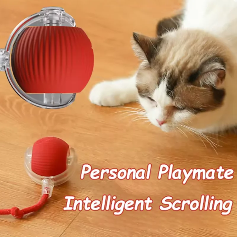 Pawwtopia™ ZoomTail Smart Cat Toy