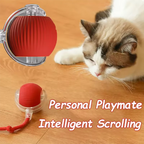 Pawwtopia™ ZoomTail Smart Cat Toy