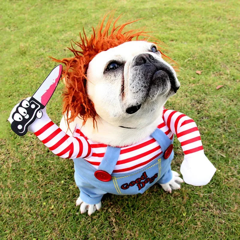PawwTopia™ Festive Dog Costume