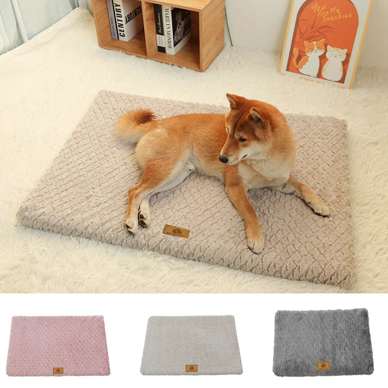 Memory Foam Orthopedic Waterproof Dog Bed