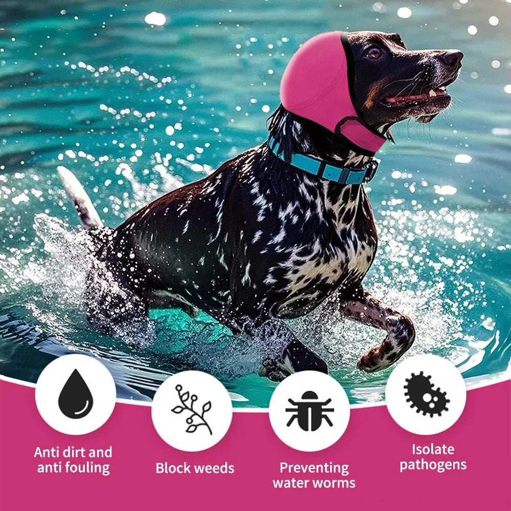 Pawwtopia™ Dog Noise Reduction