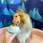 Pawwtopia™ LickZen Snack Mat